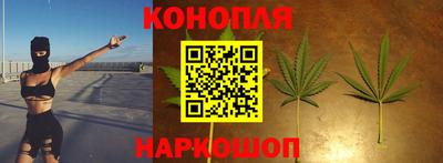 стафф Сланцы