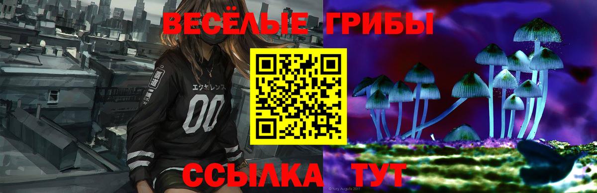 Галлюциногенные грибы MAGIC MUSHROOMS  Вход с VPN  Родники 